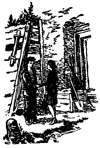 Тарантул