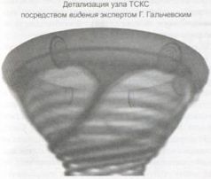 Книга Живы