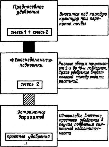 Семейное овощеводство на узких грядах