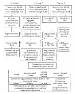 Акушерство в вопросах и ответах