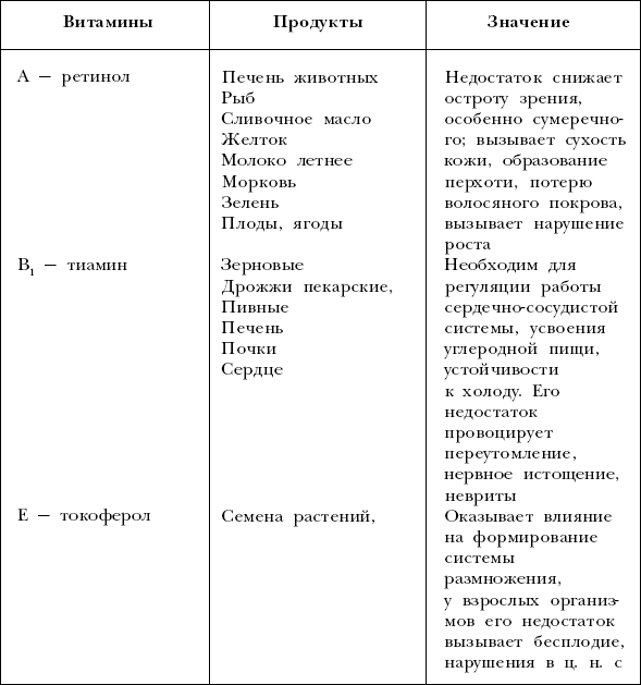Йоркширский терьер