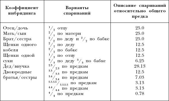 Йоркширский терьер