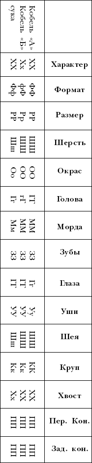 Йоркширский терьер