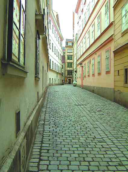 Вена