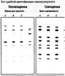 Все под контролем: Кто и как следит за тобой