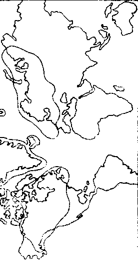 Книга ответов