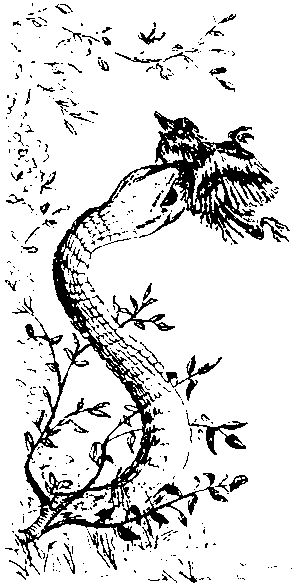 Книга ответов