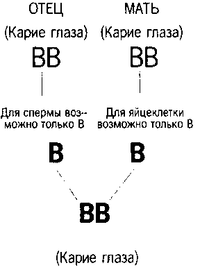 Книга ответов