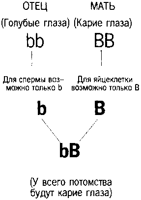 Книга ответов