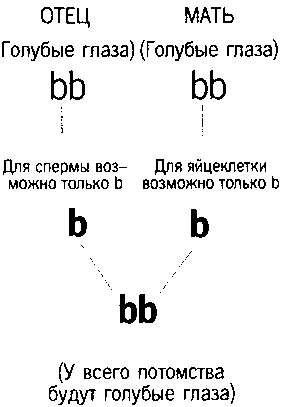 Книга ответов