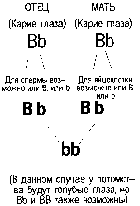 Книга ответов