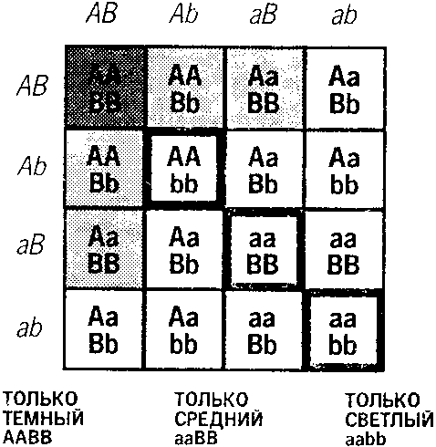 Книга ответов