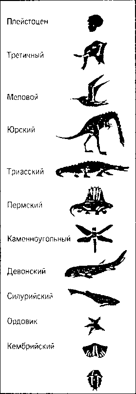 Книга ответов