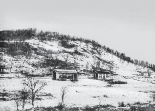 Гамсун. Мистерия жизни