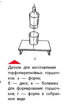 Дыни, тыквы, кабачки, патиссоны