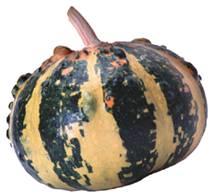 Дыни, тыквы, кабачки, патиссоны