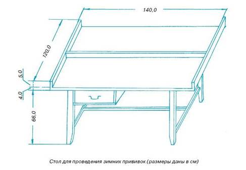 Как вырастить саженцы