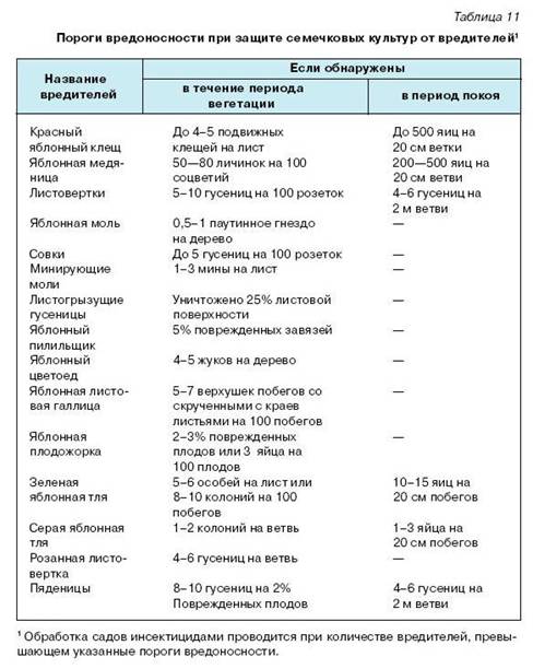 Как вырастить саженцы