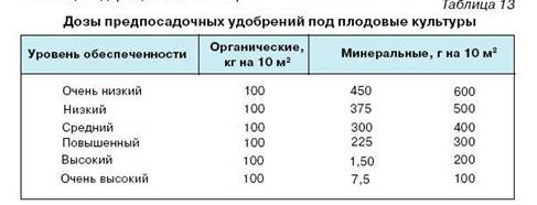 Как вырастить саженцы