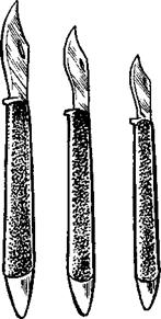 Сливы