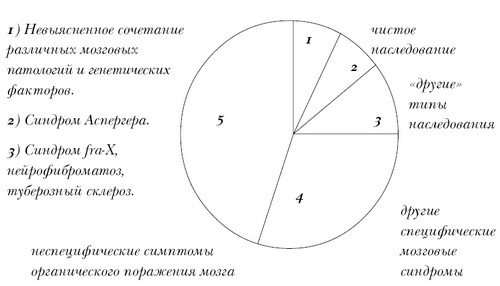 Введение в психологическую теорию аутизма